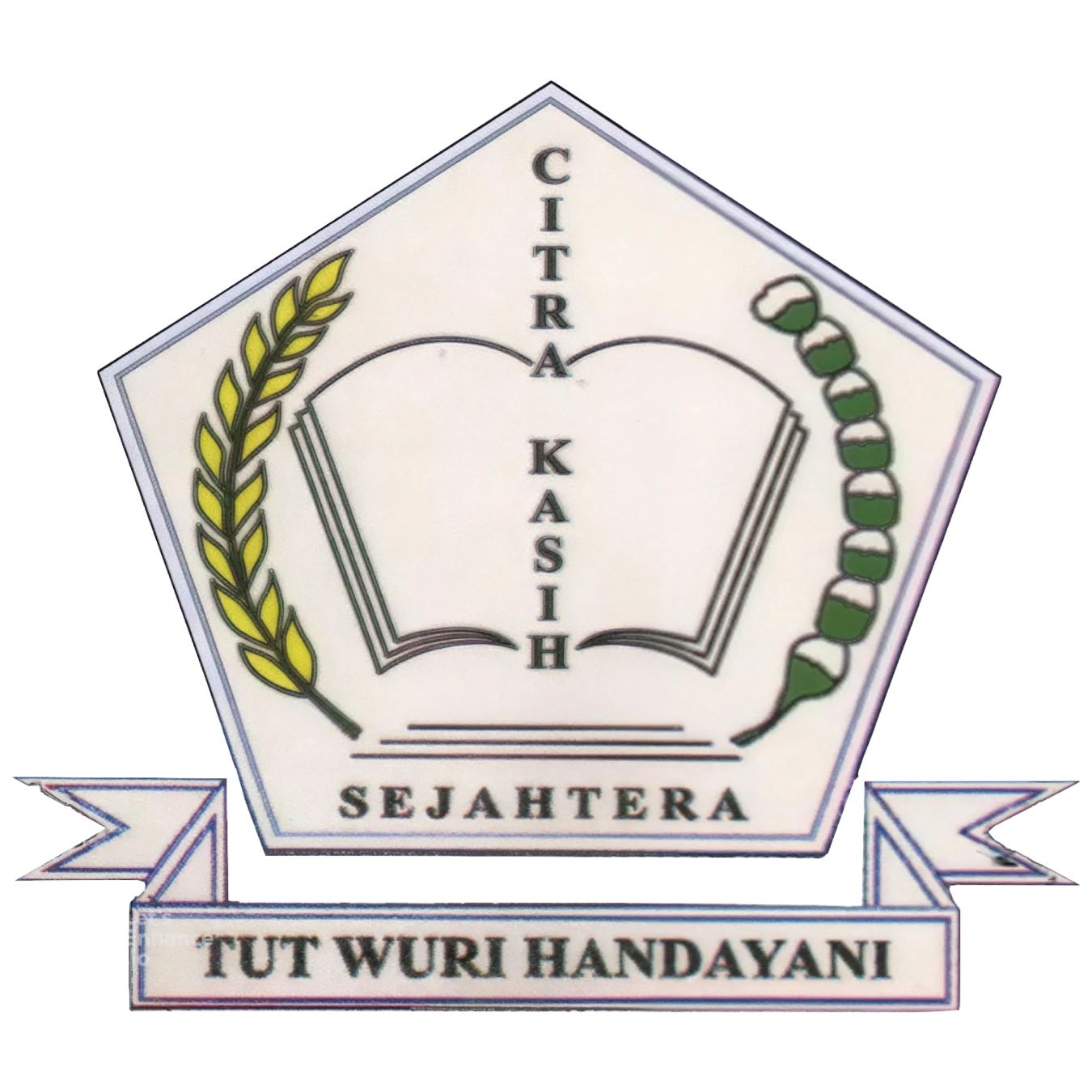 Logo Santa Patricia